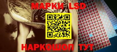 ГАЛЛЮЦИНОГЕННЫЕ ГРИБЫ Гатчина