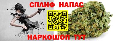 ГАЛЛЮЦИНОГЕННЫЕ ГРИБЫ Гатчина