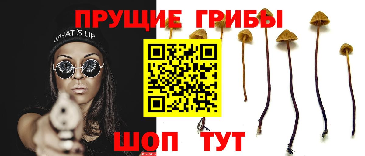 Псилоцибиновые грибы ЛСД Россошь